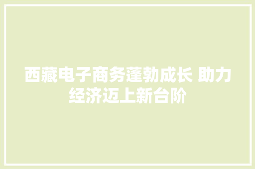西藏电子商务蓬勃成长 助力经济迈上新台阶