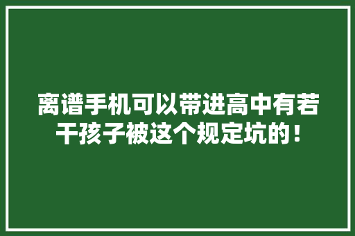 离谱手机可以带进高中有若干孩子被这个规定坑的！