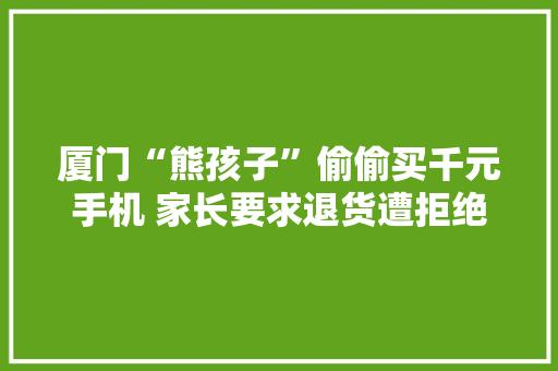 厦门“熊孩子”偷偷买千元手机 家长要求退货遭拒绝 厦门“熊孩子”偷偷买千元手机 家长要求退货遭拒绝 智能家居