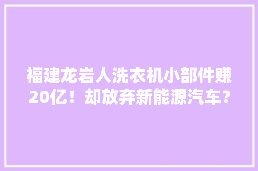 福建龙岩人洗衣机小部件赚20亿！却放弃新能源汽车？ 福建龙岩人洗衣机小部件赚20亿！却放弃新能源汽车？ 智能科技