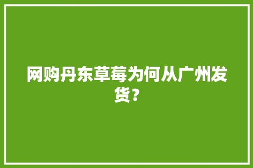 网购丹东草莓为何从广州发货？