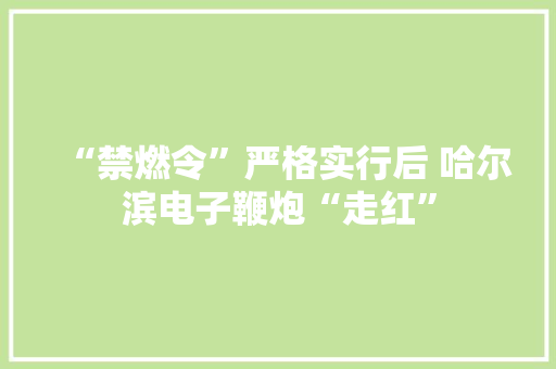 “禁燃令”严格实行后 哈尔滨电子鞭炮“走红” “禁燃令”严格实行后 哈尔滨电子鞭炮“走红” 人工智能