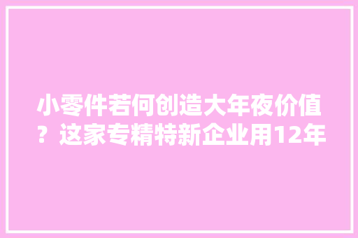 小零件若何创造大年夜价值？这家专精特新企业用12年时间书写谜底丨专精特新进行时