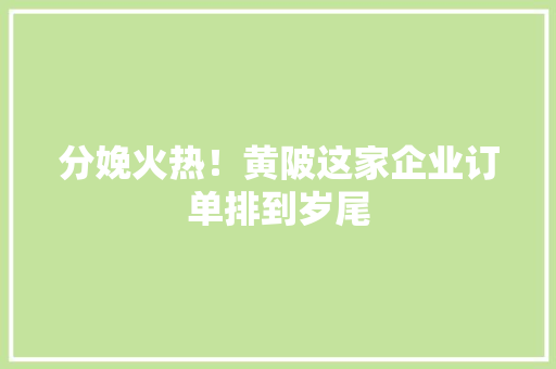 分娩火热！黄陂这家企业订单排到岁尾