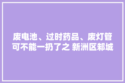 废电池、过时药品、废灯管可不能一扔了之 新洲区邾城街开展有害垃圾收受接收活动 废电池、过时药品、废灯管可不能一扔了之 新洲区邾城街开展有害垃圾收受接收活动 智能家居