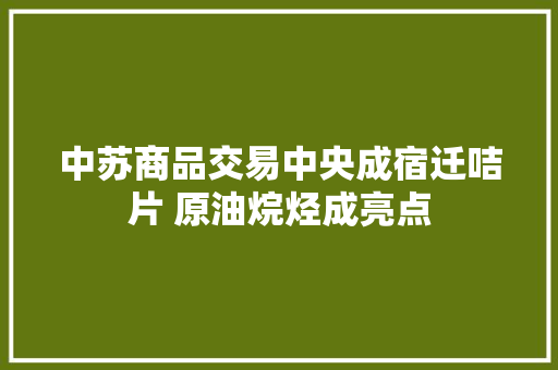 中苏商品交易中央成宿迁咭片 原油烷烃成亮点