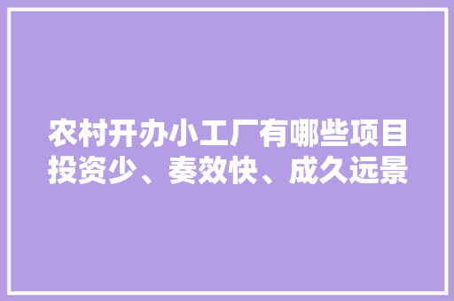 农村开办小工厂有哪些项目投资少、奏效快、成久远景比较好？