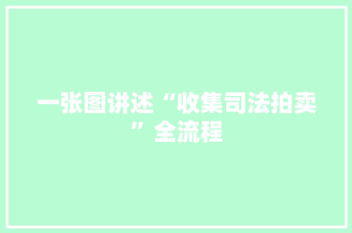 一张图讲述“收集司法拍卖”全流程