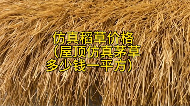 仿真稻草价格(屋顶仿真茅草若干钱一平方) 人工智能 仿真稻草价格(屋顶仿真茅草若干钱一平方) 仿真稻草价格(屋顶仿真茅草若干钱一平方) 人工智能