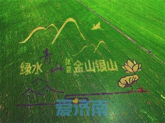 皋兰县禾尚头特色家当绘就村落振兴新“丰”景 智能科技 皋兰县禾尚头特色家当绘就村落振兴新“丰”景 皋兰县禾尚头特色家当绘就村落振兴新“丰”景 智能科技
