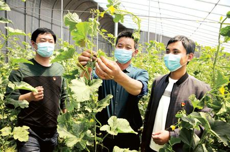 兴化“基地+公司+合作社+农户”模式走出农民增收路 智能家居 兴化“基地+公司+合作社+农户”模式走出农民增收路 兴化“基地+公司+合作社+农户”模式走出农民增收路 智能家居
