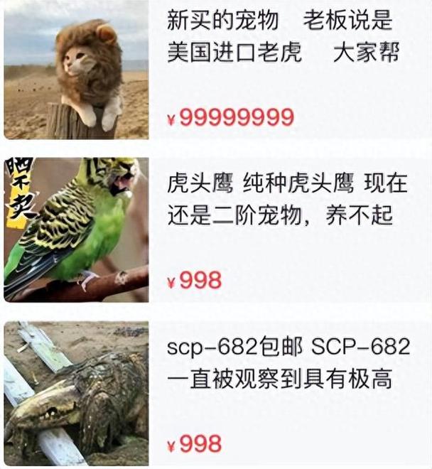闲鱼上这些诱骗份子的连招太老练了 智能家居 闲鱼上这些诱骗份子的连招太老练了 闲鱼上这些诱骗份子的连招太老练了 智能家居