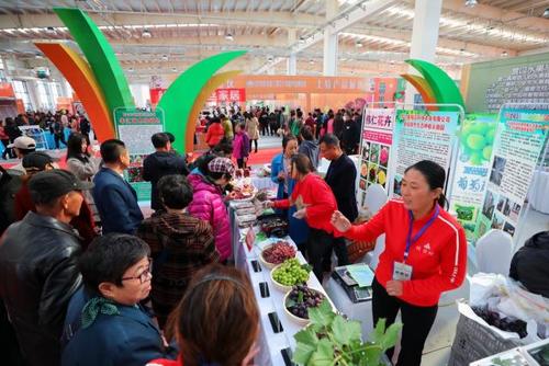 从“提篮小卖”到“营货出营”国际化营商情形重塑营口农业“产区品牌” 互联通信 从“提篮小卖”到“营货出营”国际化营商情形重塑营口农业“产区品牌” 从“提篮小卖”到“营货出营”国际化营商情形重塑营口农业“产区品牌” 互联通信