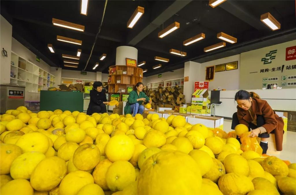 梁平:电子商务助推农特产品发卖 智能科技 梁平:电子商务助推农特产品发卖 梁平:电子商务助推农特产品发卖 智能科技