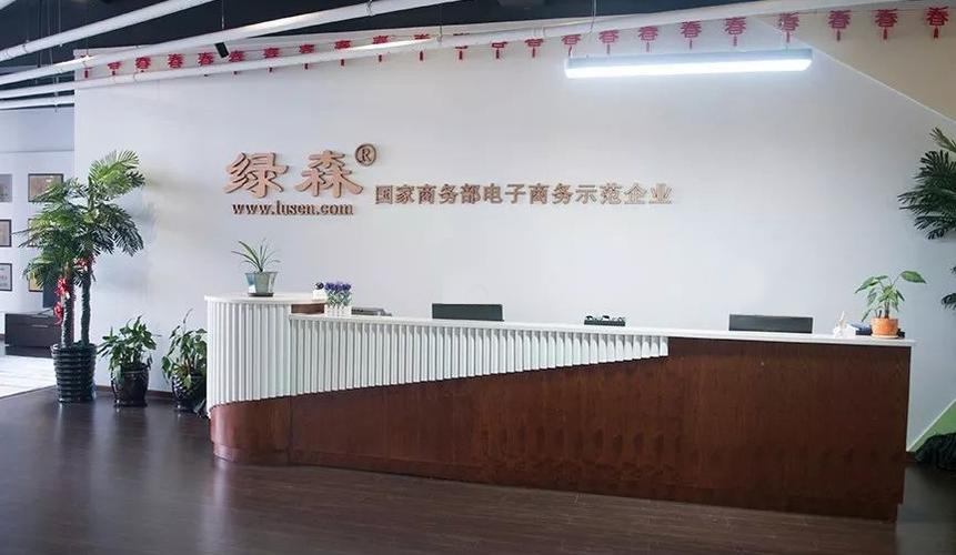 中国收集零售电商缩影 浙江绿森数码科技成长路 智能家居 中国收集零售电商缩影 浙江绿森数码科技成长路 中国收集零售电商缩影 浙江绿森数码科技成长路 智能家居