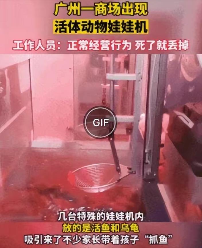 广州惊现“活体娃娃机”！一次10元：掉常一幕 广州惊现“活体娃娃机”！一次10元：掉常一幕 人工智能