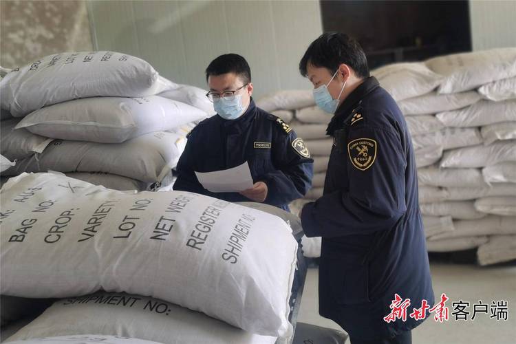 一季度 甘肃对巴西进出口值2.6亿元 智能科技 一季度 甘肃对巴西进出口值2.6亿元 一季度 甘肃对巴西进出口值2.6亿元 智能科技