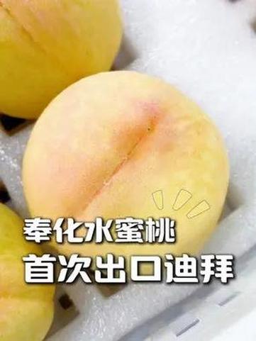 每颗40元48小时送达 奉化水蜜桃首次出口迪拜 智能家居 每颗40元48小时送达 奉化水蜜桃首次出口迪拜 每颗40元48小时送达 奉化水蜜桃首次出口迪拜 智能家居