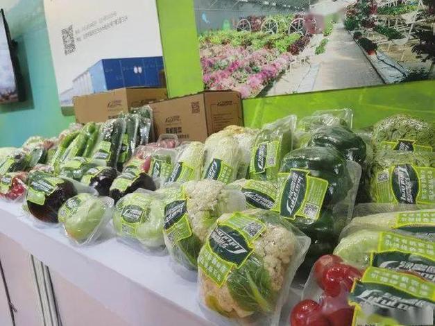 延庆创建绿色食物原料(玉米)标准化基地成效显著 人工智能 延庆创建绿色食物原料(玉米)标准化基地成效显著 延庆创建绿色食物原料(玉米)标准化基地成效显著 人工智能