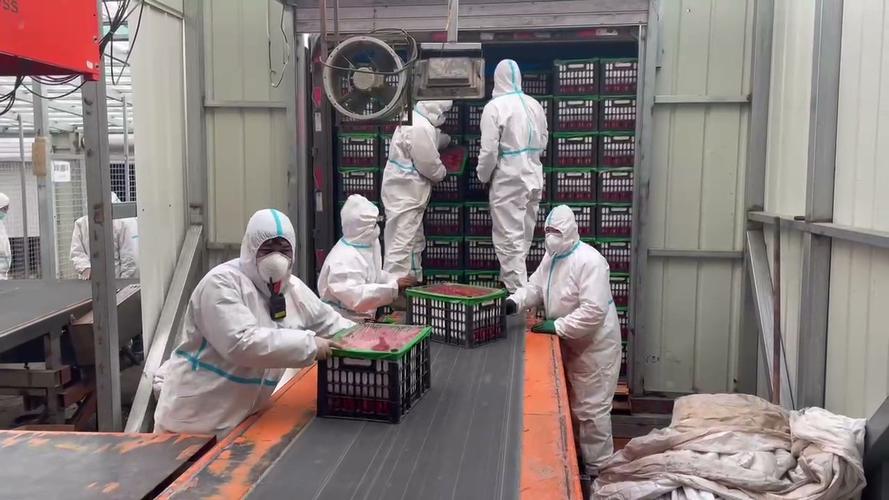 吉林市拟增设两个蔬菜临时储运点 方便外省增援物资临时储运和配送投放 人工智能 吉林市拟增设两个蔬菜临时储运点 方便外省增援物资临时储运和配送投放 吉林市拟增设两个蔬菜临时储运点 方便外省增援物资临时储运和配送投放 人工智能