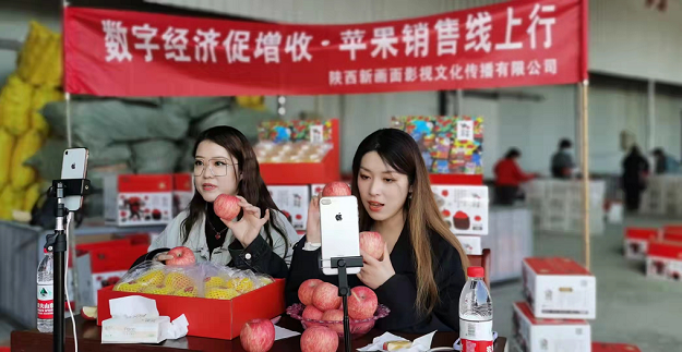 办实事 促发卖 助增收 周至县电商助农促消费活动成功举办 智能科技 办实事 促发卖 助增收 周至县电商助农促消费活动成功举办 办实事 促发卖 助增收 周至县电商助农促消费活动成功举办 智能科技