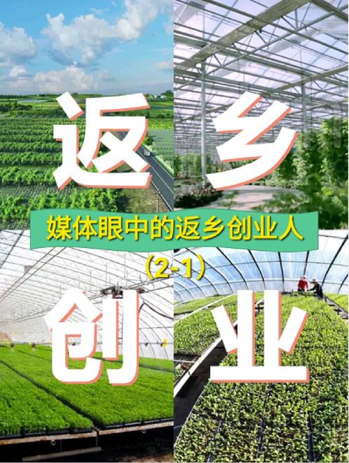 青年创未来创业更精彩--阎良青年电商创业进行时! 互联通信 青年创未来创业更精彩--阎良青年电商创业进行时! 青年创未来创业更精彩--阎良青年电商创业进行时! 互联通信