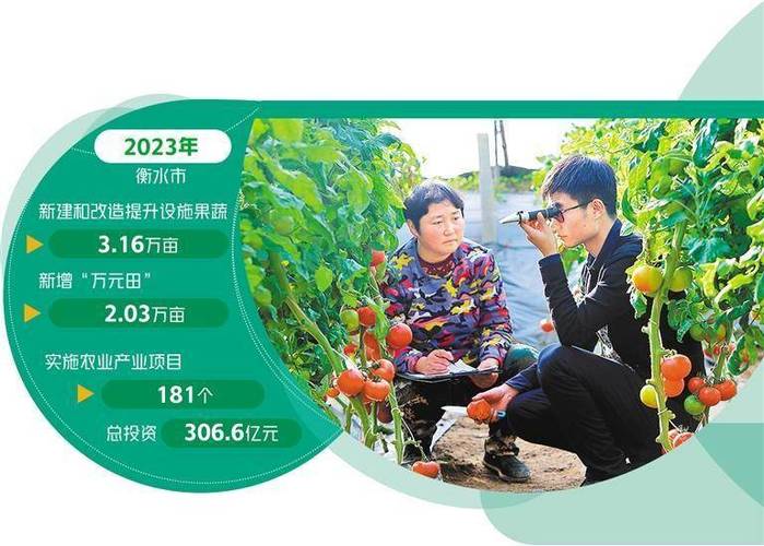 衡水:以高端农产品 抢占京津市场 人工智能 衡水:以高端农产品 抢占京津市场 衡水:以高端农产品 抢占京津市场 人工智能