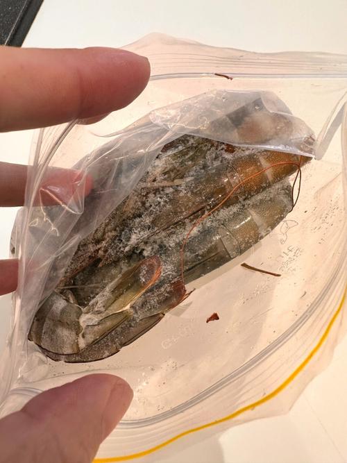 格力电器申请冷冻装配相关专利使内容物在冷冻保存中持续保鲜且降低干耗 互联通信 格力电器申请冷冻装配相关专利使内容物在冷冻保存中持续保鲜且降低干耗 格力电器申请冷冻装配相关专利使内容物在冷冻保存中持续保鲜且降低干耗 互联通信