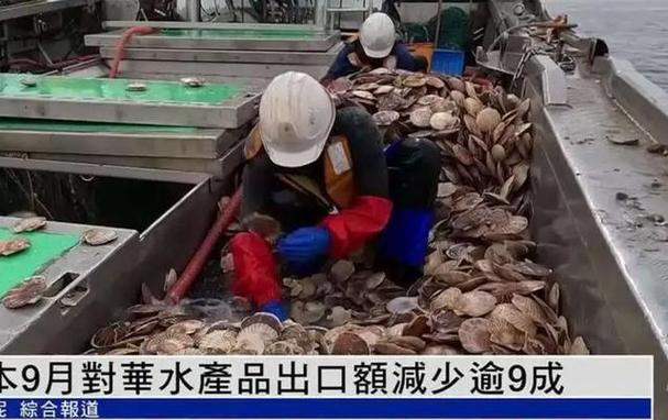 日本的惊天构造有100种方法把产品卖给中国!通俗人难以分辨 智能家居 日本的惊天构造有100种方法把产品卖给中国!通俗人难以分辨 日本的惊天构造有100种方法把产品卖给中国!通俗人难以分辨 智能家居