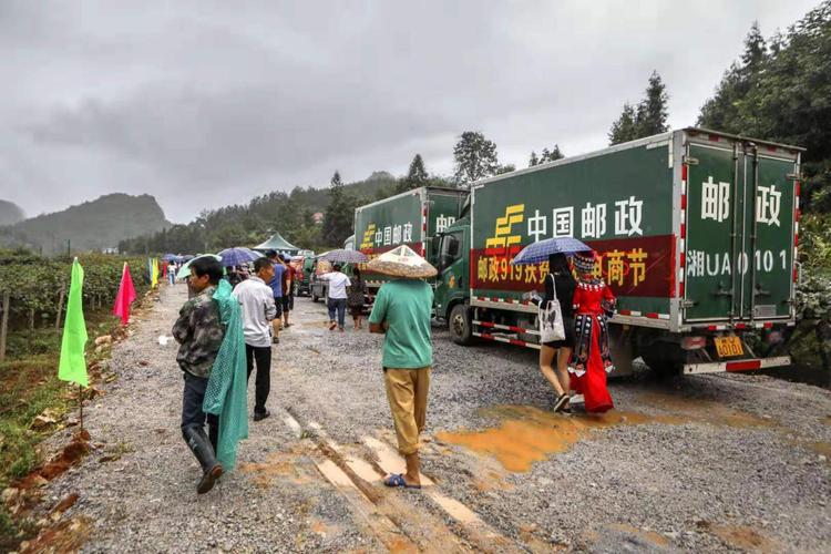 首届“湘西猕猴桃网销节暨邮政919扶贫助农电商节”启动 智能科技 首届“湘西猕猴桃网销节暨邮政919扶贫助农电商节”启动 首届“湘西猕猴桃网销节暨邮政919扶贫助农电商节”启动 智能科技