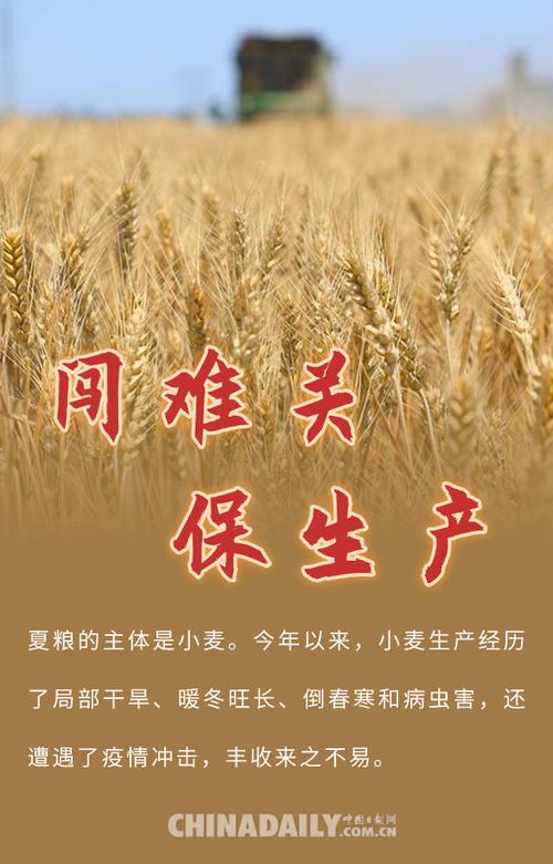 江苏以精准有效监督保障夏粮丰产丰收 人工智能 江苏以精准有效监督保障夏粮丰产丰收 江苏以精准有效监督保障夏粮丰产丰收 人工智能