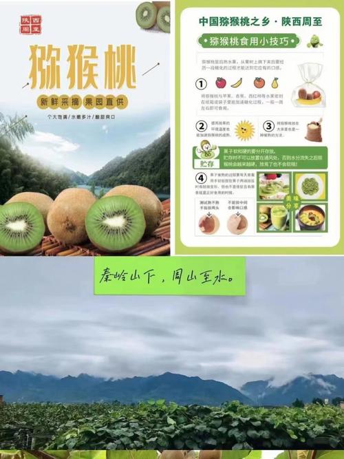 基于SNS社交电商的陕西周至猕猴桃发卖研究 人工智能 基于SNS社交电商的陕西周至猕猴桃发卖研究 基于SNS社交电商的陕西周至猕猴桃发卖研究 人工智能