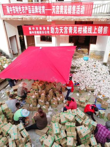 一见“青”心|阆中邮政电商助农天宫青见远销全国 人工智能 一见“青”心|阆中邮政电商助农天宫青见远销全国 一见“青”心|阆中邮政电商助农天宫青见远销全国 人工智能
