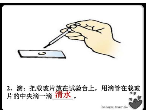初中必考常识点‘’玻片标本的制作‘’ 主讲师长教师丁蕊师长教师 智能家居 初中必考常识点‘’玻片标本的制作‘’ 主讲师长教师丁蕊师长教师 初中必考常识点‘’玻片标本的制作‘’ 主讲师长教师丁蕊师长教师 智能家居