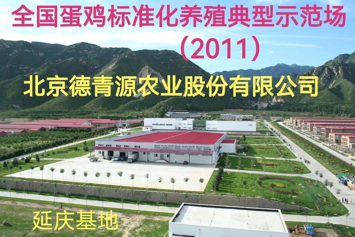 延庆5万只蛋鸡住进数字化“别墅”带动周边村平易近两千人次就业 互联通信 延庆5万只蛋鸡住进数字化“别墅”带动周边村平易近两千人次就业 延庆5万只蛋鸡住进数字化“别墅”带动周边村平易近两千人次就业 互联通信