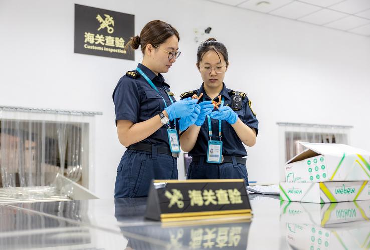 全省首单“9610”报关营业“跑通”!南京玄武区厚植跨境电商新膏壤 智能科技 全省首单“9610”报关营业“跑通”!南京玄武区厚植跨境电商新膏壤 全省首单“9610”报关营业“跑通”!南京玄武区厚植跨境电商新膏壤 智能科技