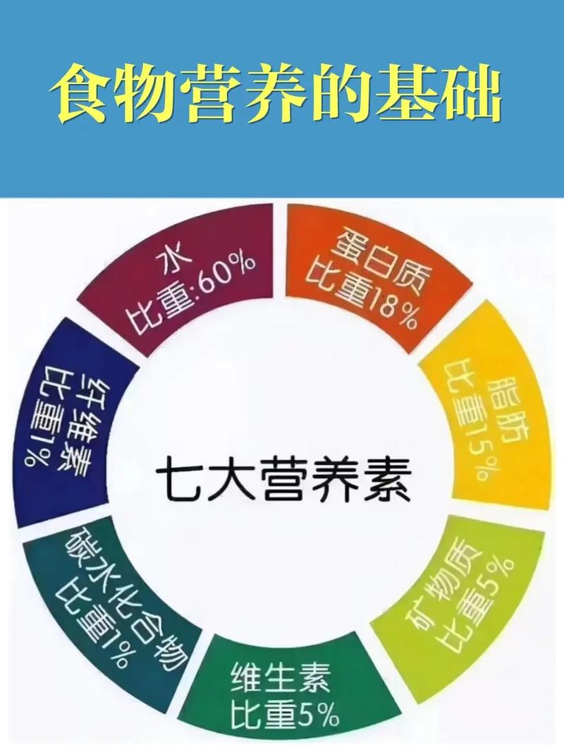 一到晚上看不清?你是不是这种营养素没吃够?建议理解 智能科技 一到晚上看不清?你是不是这种营养素没吃够?建议理解 一到晚上看不清?你是不是这种营养素没吃够?建议理解 智能科技