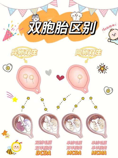 剖断结果出炉:同卵双生双胞胎!河南刷视频刷到“自己”的姐妹当场哽咽 智能家居 剖断结果出炉:同卵双生双胞胎!河南刷视频刷到“自己”的姐妹当场哽咽 剖断结果出炉:同卵双生双胞胎!河南刷视频刷到“自己”的姐妹当场哽咽 智能家居