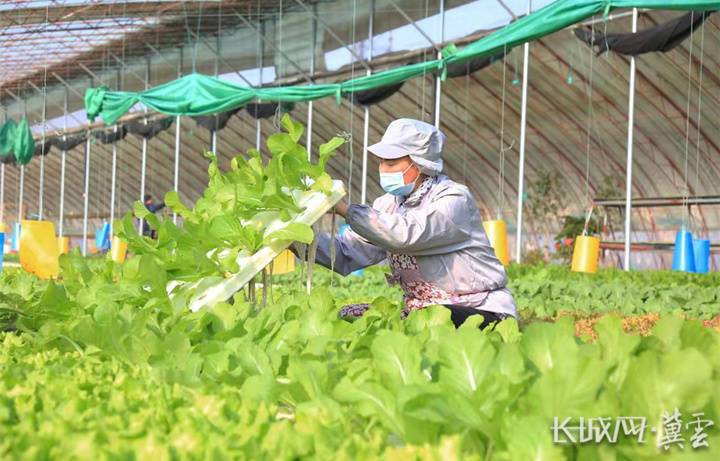 安庆市粮储局精准发力促粮农粮企互利双赢 智能科技 安庆市粮储局精准发力促粮农粮企互利双赢 安庆市粮储局精准发力促粮农粮企互利双赢 智能科技