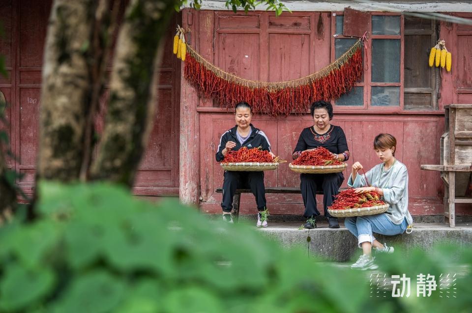 毕节:探访传统素辣椒制作身手 人工智能 毕节:探访传统素辣椒制作身手 毕节:探访传统素辣椒制作身手 人工智能