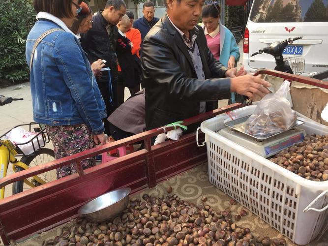 武汉星启电子店:专业做事助您销量翻倍 人工智能 武汉星启电子店:专业做事助您销量翻倍 武汉星启电子店:专业做事助您销量翻倍 人工智能