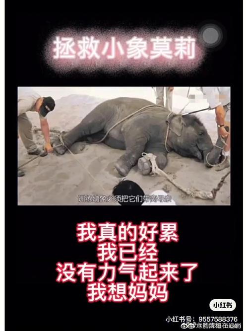 孩子陷溺电子产品变成垂头族快点救就他们吧! 人工智能 孩子陷溺电子产品变成垂头族快点救就他们吧! 孩子陷溺电子产品变成垂头族快点救就他们吧! 人工智能