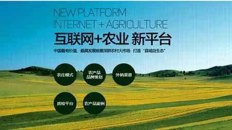 青海国家级电商基地成长正当时 智能科技 青海国家级电商基地成长正当时 青海国家级电商基地成长正当时 智能科技