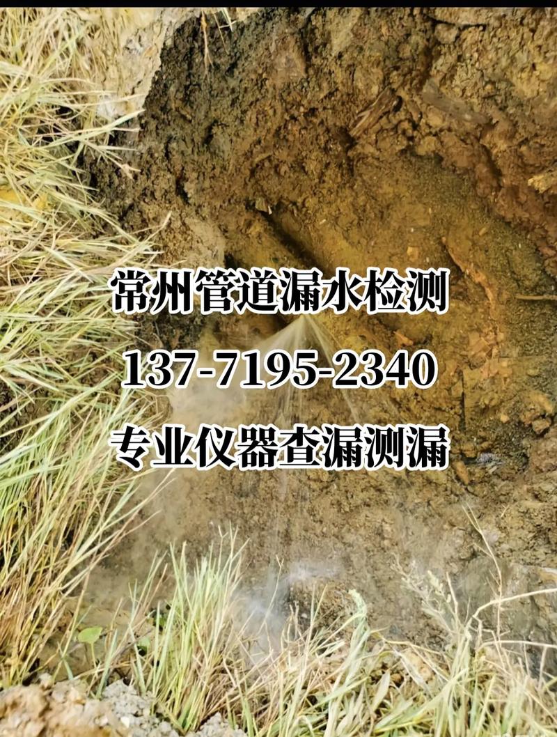 常州漏水怎么检测维修 | 常州漏水检测维修公司电话 智能家居 常州漏水怎么检测维修 | 常州漏水检测维修公司电话 常州漏水怎么检测维修 | 常州漏水检测维修公司电话 智能家居