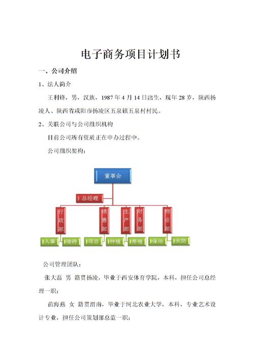 电商外贸项目筹划 互联通信 电商外贸项目筹划 电商外贸项目筹划 互联通信