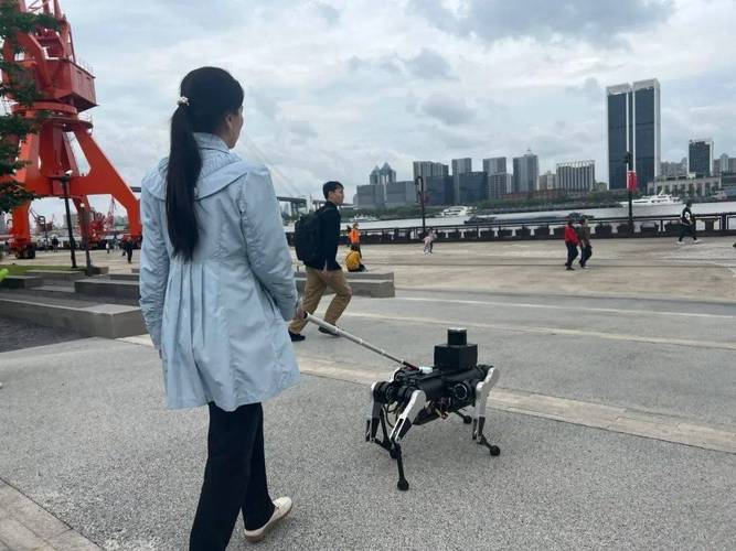 这款“六条腿”的电子导盲犬在杨浦开启线下展示与测试 互联通信 这款“六条腿”的电子导盲犬在杨浦开启线下展示与测试 这款“六条腿”的电子导盲犬在杨浦开启线下展示与测试 互联通信