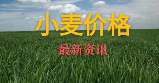 优麦涨到1.45元/斤 与普麦行情悬殊拉大年夜 智能科技 优麦涨到1.45元/斤 与普麦行情悬殊拉大年夜 优麦涨到1.45元/斤 与普麦行情悬殊拉大年夜 智能科技