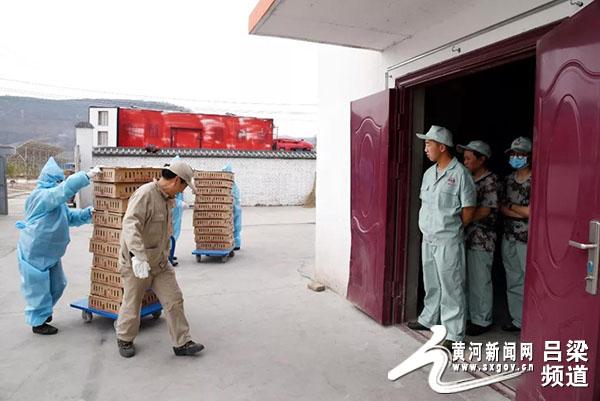 延伸家当链 引领群众“枣”致富石楼县红枣精深加工及仓储家当帮扶基地培植成长纪实 人工智能 延伸家当链 引领群众“枣”致富石楼县红枣精深加工及仓储家当帮扶基地培植成长纪实 延伸家当链 引领群众“枣”致富石楼县红枣精深加工及仓储家当帮扶基地培植成长纪实 人工智能