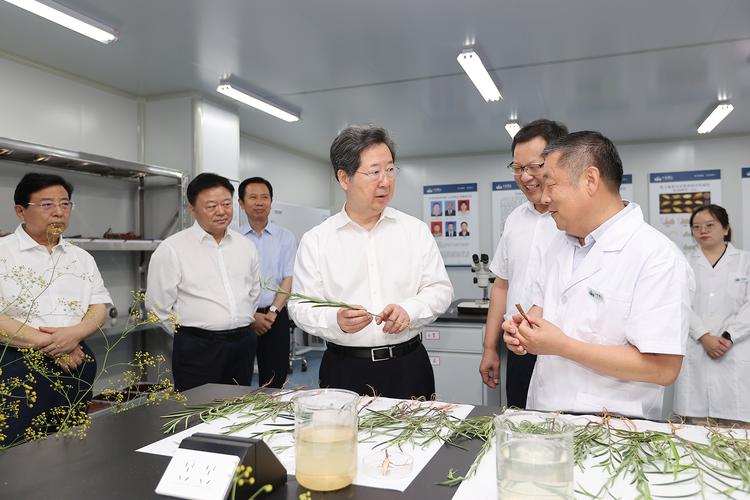 厉害了!洛阳开建一个国家级质量检测做事平台 人工智能 厉害了!洛阳开建一个国家级质量检测做事平台 厉害了!洛阳开建一个国家级质量检测做事平台 人工智能