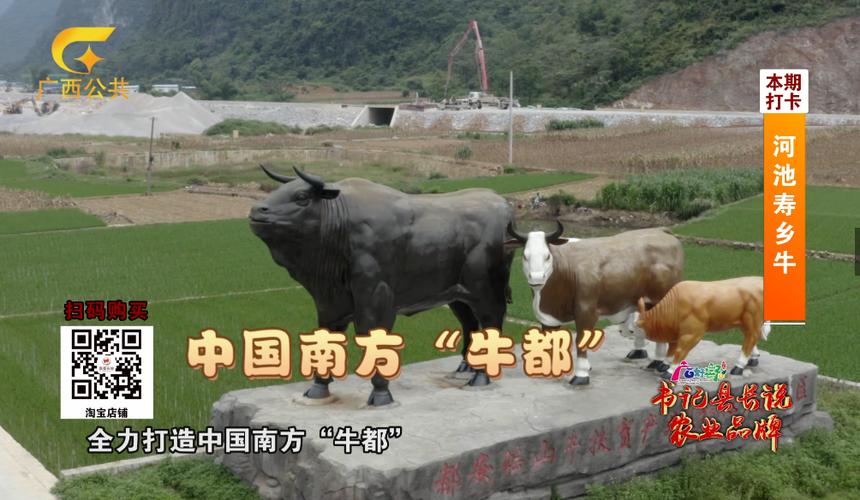 广西都安:电商让“瑶山牛”走出大年夜山 智能家居 广西都安:电商让“瑶山牛”走出大年夜山 广西都安:电商让“瑶山牛”走出大年夜山 智能家居